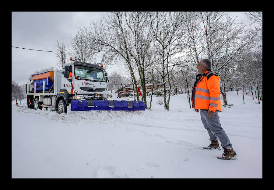 Se esperan precipitaciones entre los 100 y los 300 metros y de forma transitoria al nivel del mar.