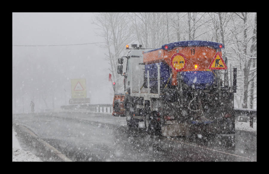 Se esperan precipitaciones entre los 100 y los 300 metros y de forma transitoria al nivel del mar.