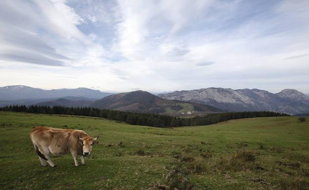 Vista de los montes de Urkiola.