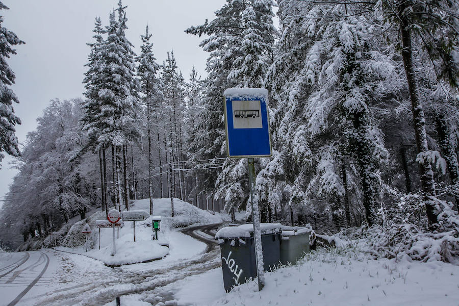 La Arboleda y Munitibar, cubiertos por la nieve