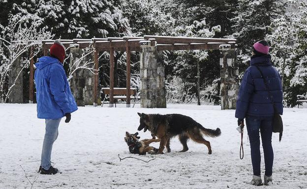 Álava sigue en alerta amarilla por la aparición de hielo además de nieve.