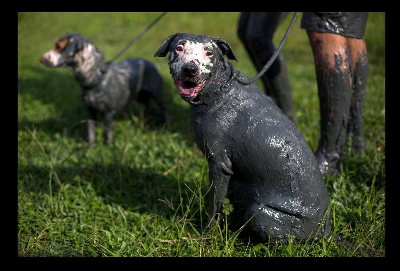 La fiesta 'Bloco de Lama', es una celebración en torno al barro que comenzó en la ciudad brasileña de Paraty, en 1986. Lo que comenzó como una diversión practicada por jóvenes, es en la actualidad todo un evento en la histórica ciudad ubicada a orillas de dos ríos, a 250 kilómetros de Río de Janeiro, que fue durante varios siglos sede del puerto exportador de oro más importante de Brasil. Envolverse en barro, dicen algunos participantes, elimina energías negativas y fluidos perniciosos y puede desarrollar la fantasía