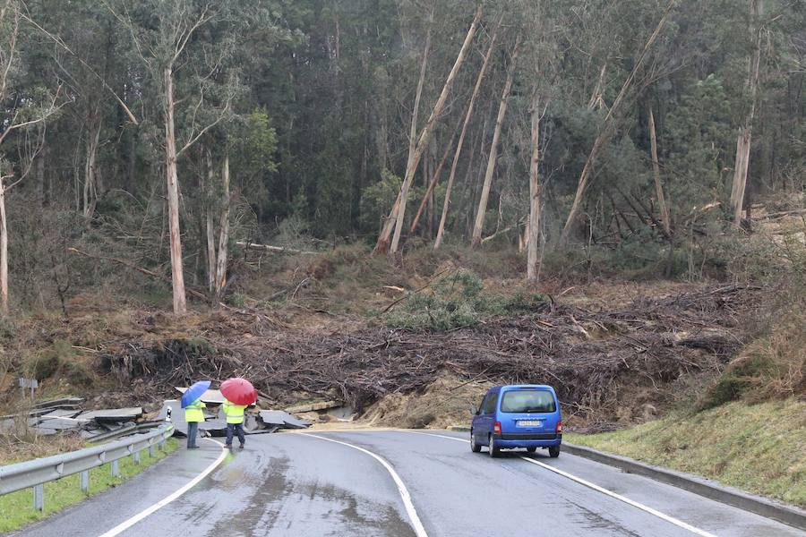 Fotos: Las imágenes del desprendimiento de una ladera en Larrabetzu