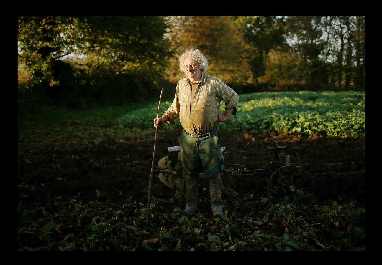 Cuando la maquinaria agrícola revolucionó la agricultura francesa en los años posteriores a la Segunda Guerra Mundial, un joven Jean-Bernard Huon le dio la espalda a la nueva tecnología. Medio siglo después, en su destartalada granja de Riec-sur-Belon, en un rincón del sur de Bretaña, Jean-Bernard -70 años y una barba muy blanca- todavía usa bueyes para arar sus campos, ordeña sus ocho vacas, muele la harina a mano y recoge incansable el estiércol para fertilizar los cultivos que alimentan a su ganado. "Soy un extraño feliz", dice Huon en la granja donde vive sin agua caliente: "Nunca he sido rico, pero ¿qué me importa?".