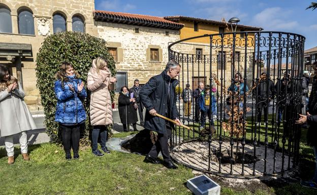 El otro retoño ha sido plantado en la plaza de la localidad alavesa. 