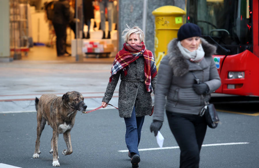 Bilbao ha registrado una mínima de -1º y el el monte Oiz se han alcanzado los -10º