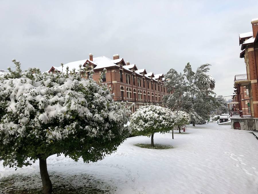 Hospital de Basurto