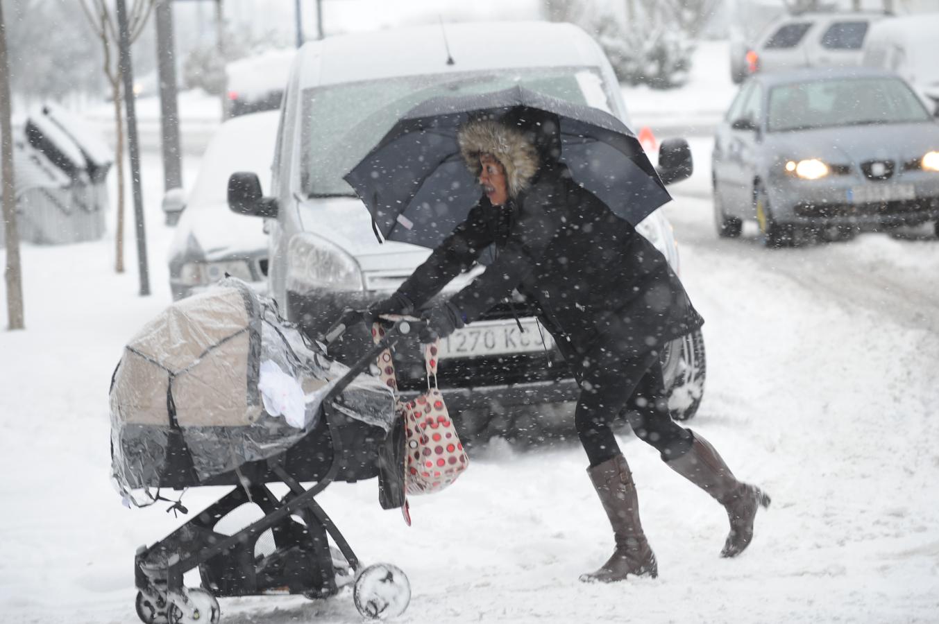 Fotos: Álava despide febrero bajo la nieve