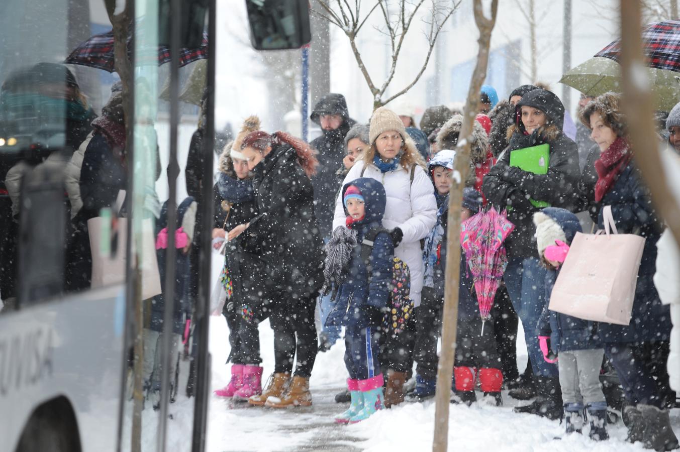 Fotos: Álava despide febrero bajo la nieve