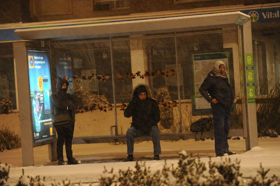 Fotos: Álava despide febrero bajo la nieve