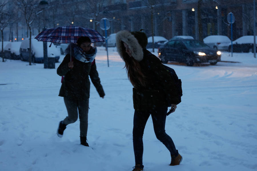 Fotos: Álava despide febrero bajo la nieve