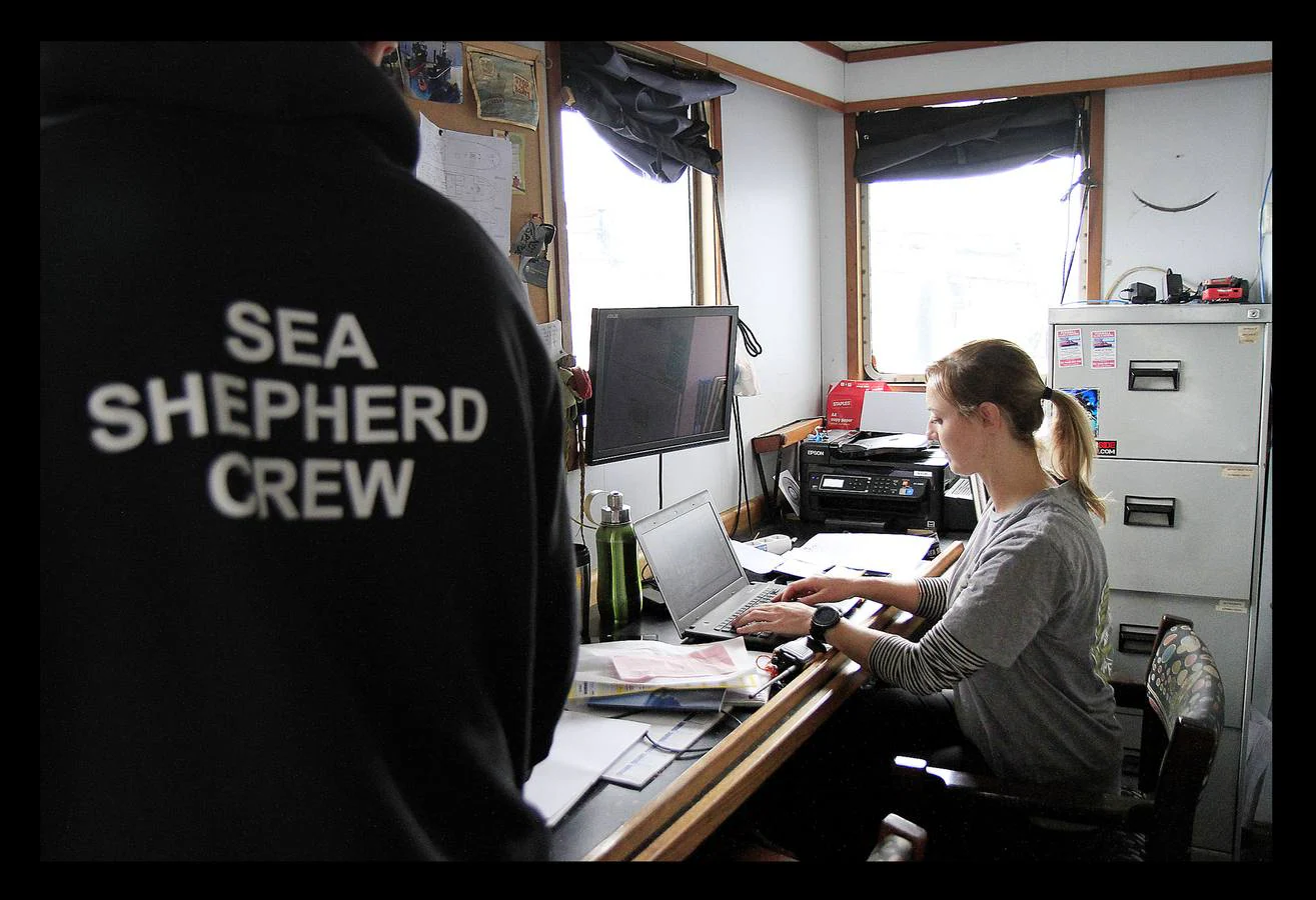 Fotos: El barco ecológico &#039;Bob Barker&#039; atraca en Getxo