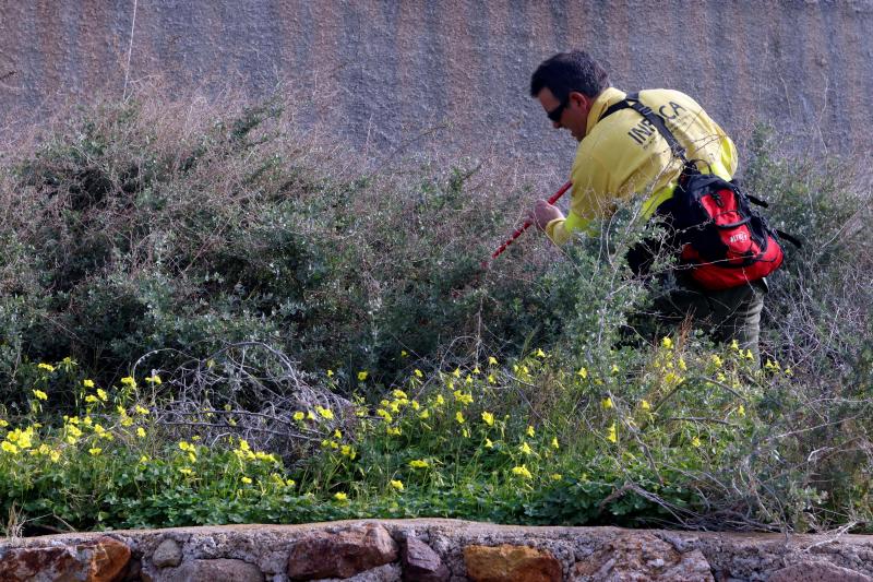 Cientos de personas participaron en las labores de rastreo para dar con el pequeño, de 8 años, en las que también participó la detenida por el crimen