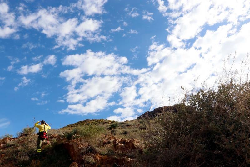 Cientos de personas participaron en las labores de rastreo para dar con el pequeño, de 8 años, en las que también participó la detenida por el crimen