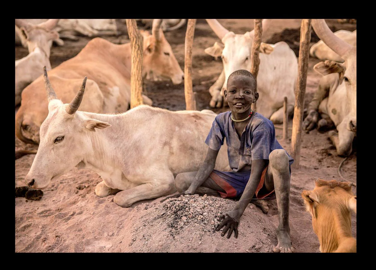 Cuando un varón de la tribu Dinka alcanza la pubertad debe sacrificar un toro. A partir de ese momento, el joven añade a su nombre el color del pelaje de la res, que lo acompañará para siempre. Los Dinka, más de un millón de personas, son la etnia mayoritaria en Sudán del Sur, casi un 70 por ciento, según estimaciones, y son considerados los primeros pobladores esa región, en las orillas del Nilo, donde se establecieron en el siglo X. Para un dinka la posesión más preciada es el ganado bovino, ya que del número de animales que posea dependerá su prestigio social, su riqueza y hasta sus posibilidades de contraer matrimonio. Toda su vida gira y depende de las vacas: beben su leche, usan sus pieles y se arreglan el pelo con su orina y estiércol para lograr que tome un tono rojizo, característico de la belleza de esta etnia.