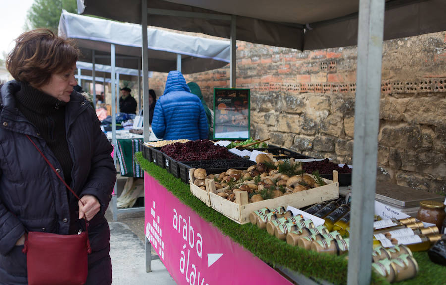 Fotos: Fiesta del aceite de Rioja Alavesa