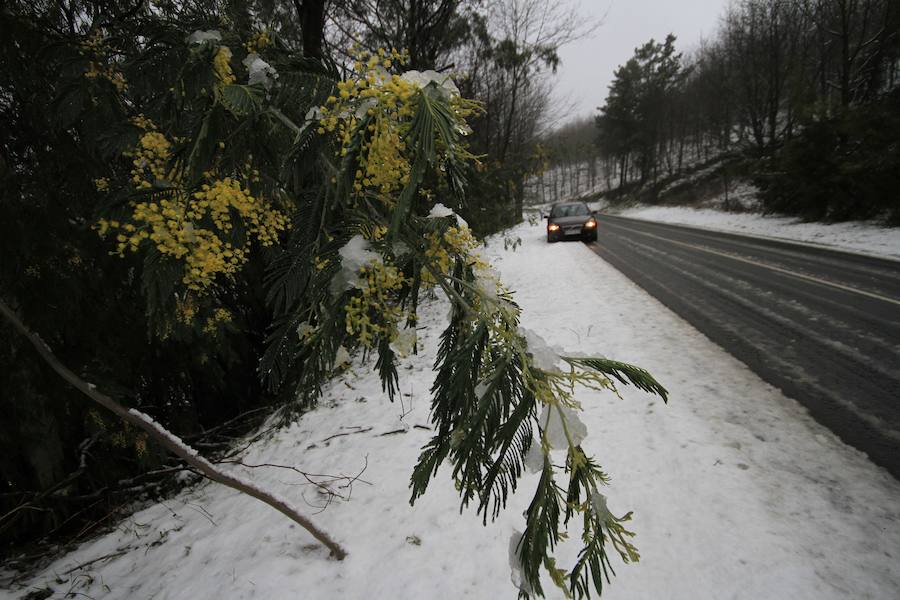 Fotos: Las imágenes del regreso de la nieve a Bizkaia