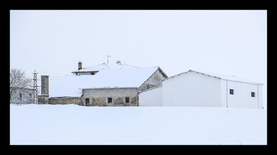 La copiosa nevada que cae en la provincia desde el lunes por la noche dificulta el tráfico en todo el territorio