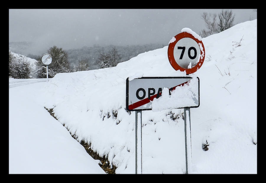 La copiosa nevada que cae en la provincia desde el lunes por la noche dificulta el tráfico en todo el territorio