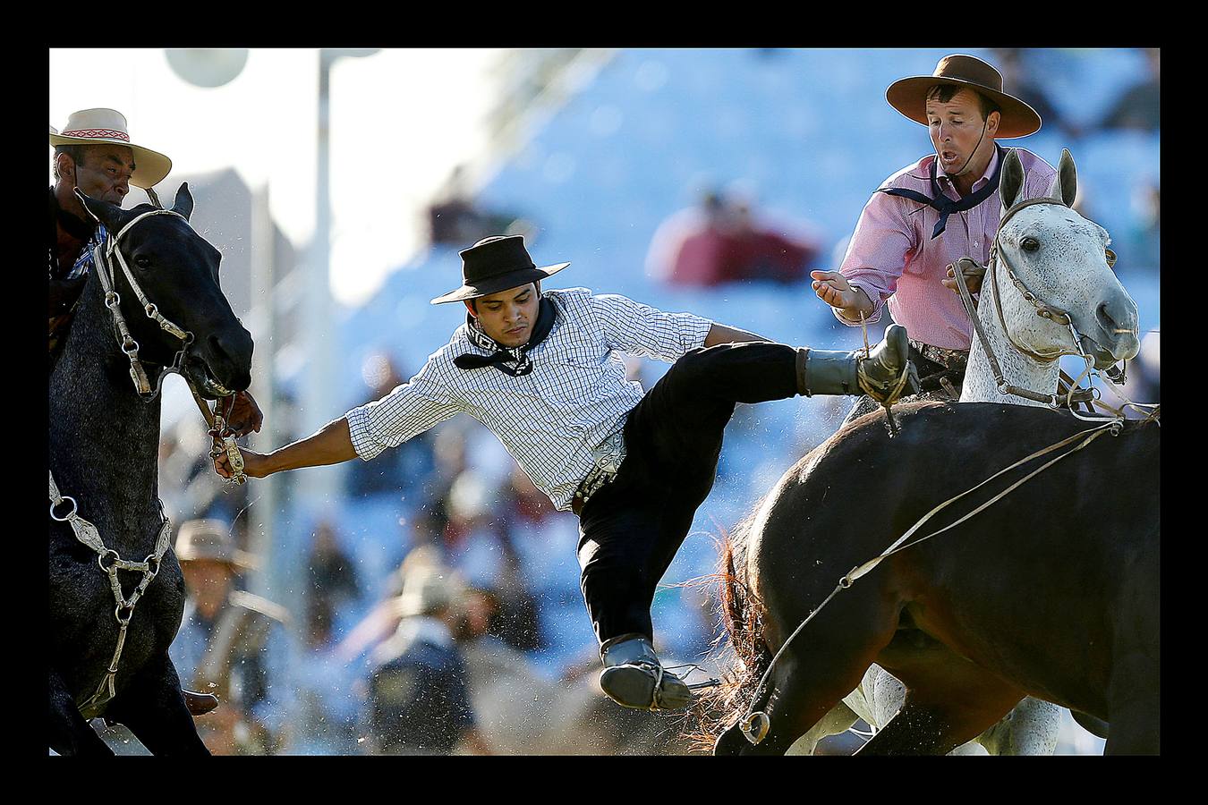 Se parece mucho a un rodeo en el lejano Oeste norteamericano, pero no es lo mismo. En las 'Jineteadas' el gaucho cabalga un potro no domado con el objeto de resistir ocho segundos encima y ofrecer el mejor espectáculo. Las jineteadas son una parte de las actividades que se celebran en Montevideo, Uruguay, con motivo de la Semana Criolla. Un evento que nació en 1925 y atrae a jinetes de países vecinos como Argentina y Brasil, que este año ha sido seguido por cerca de 200.000 personas. En abril de 2006, fue declarado deporte nacional.