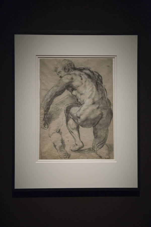Una exposición en el Museo del Prado exhibe 73 de los mejores estudios que Rubens pintó con óleo