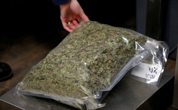 Marihuana guardada como prueba en un caso en Canadá. 
