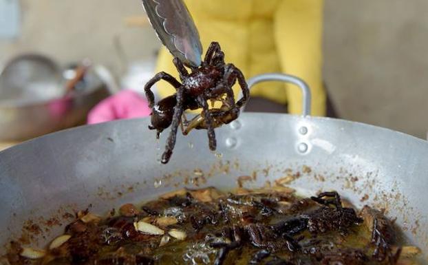 Una turista sostiene una tarántula. 