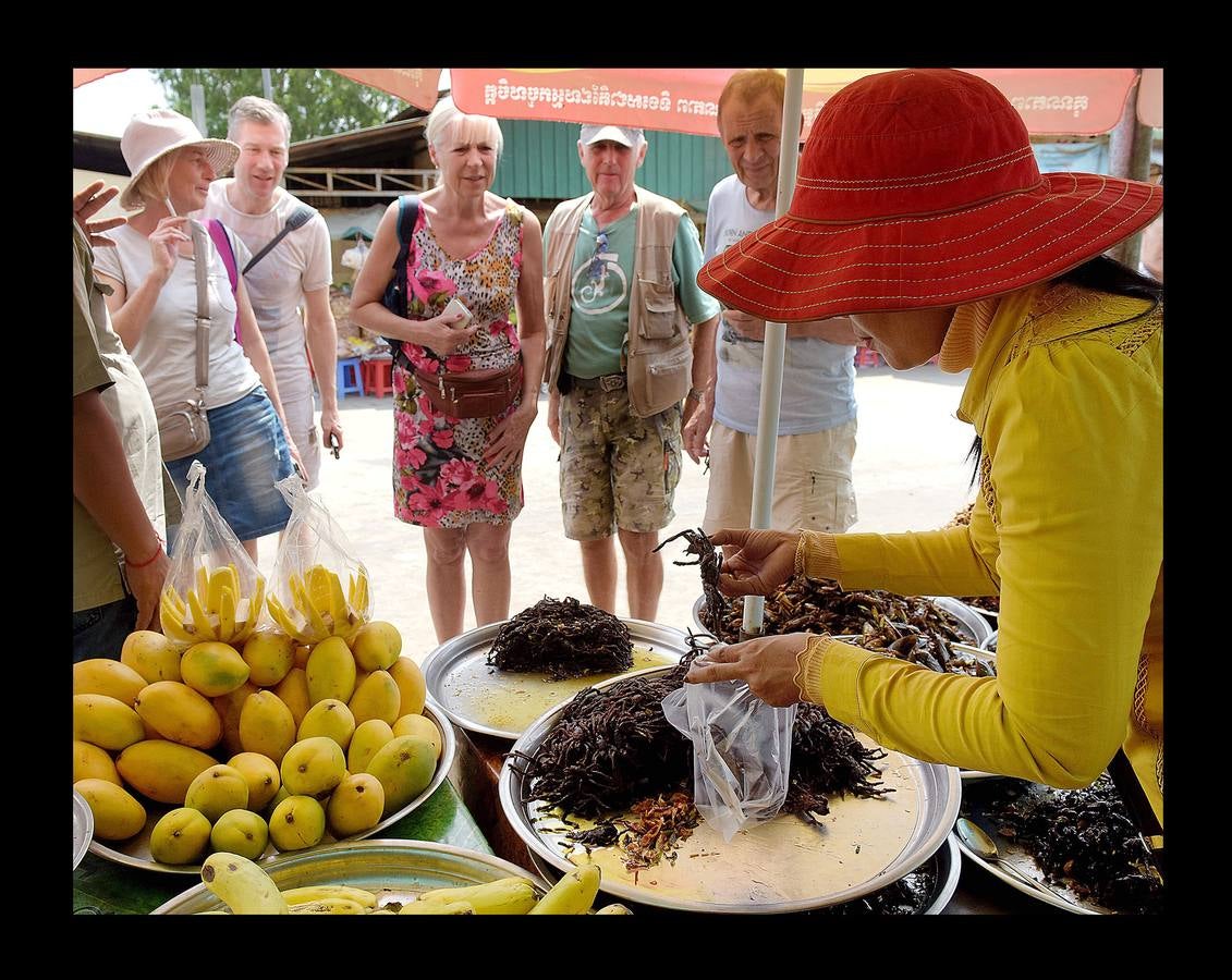 Un plato lleno de peludas tarántulas del tamaño de un puño resulta en Camboya un preciado manjar, en especial cuando se preparan fritas, con ajo, en una olla chisporroteante. Pero el disfrute de esta gollería, que algunos comparan con el delicado sabor del cangrejo, está en peligro. Las junglas donde habitan estos arácnidos desaparecen lentamente. Camboya, con una de las tasas de deforestación más rápidas del mundo, ha perdido el 20 % de su masa forestal desde 1990.
