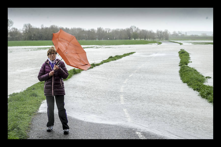 El río alavés ya se ha salido de su cauce en los puntos habituales como Abetxuko, Iurre y Asteguieta