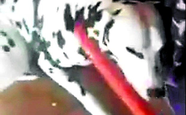 Imagen sacada del vídeo del maltrato difundido por redes sociales