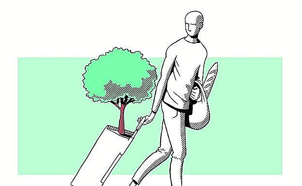 Virtudes pequeñas, grandes soluciones