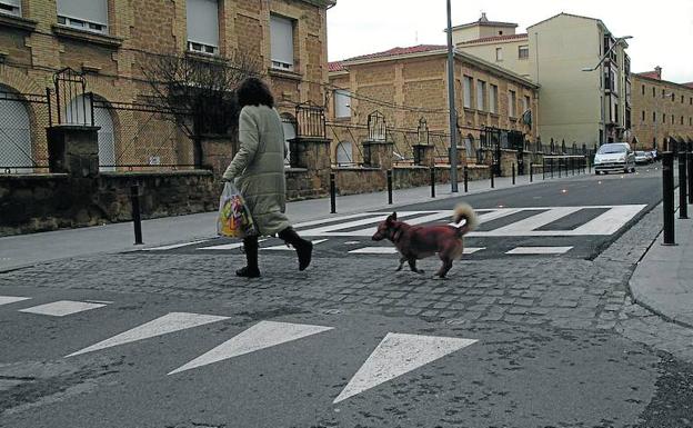 Una vecina pasea junto a su perro por un paso de cebra de la Avenida de La Rioja. 