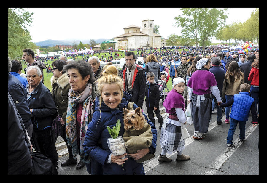 Fotos: El cielo encapotado y la amenaza de lluvia no ha deslucido la popular romería a las campas de Armentia