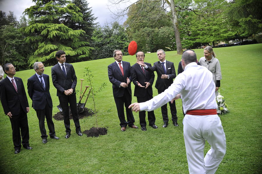Han plantado un retoño del Ginkgoa Biloba, el único árbol que sobrevivió a la bomba atómica