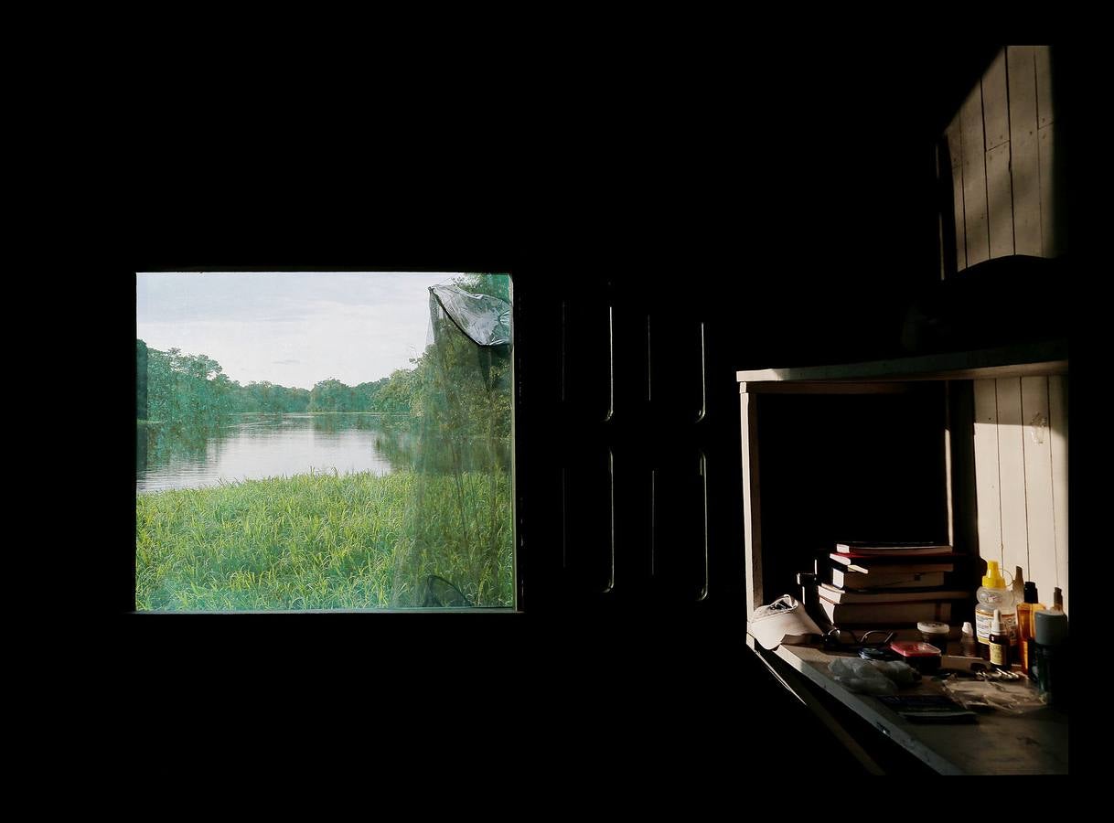 En Brasil el jaguar es una especie a la que no sólo amenazan los cazadores y la destrucción de su hábitat, sino también las inundaciones en el Amazonas. El proyecto Laurete (algunas de cuyas actividades vemos en las fotografías) investiga cómo resiste esta especie en las copas de los árboles, donde se refugian y alimentan a sus crías entre abril y julio, mientras el suelo de la selva tropical se mantiene cubierta de agua. Los «jaguares pintados» llamados así por su pelaje poblado de intrincadas manchas son difíciles de ver en la espesura, pero los investigadores les colocan rastreadores que pueden identificarlos desde las pequeñas embarcaciones con las que se desplazan a través de la jungla inundada.