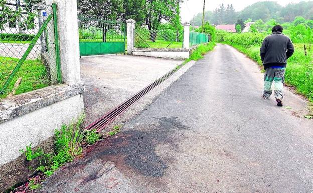 Mancha de sangre en el camino vecinal de Goikoetxe, en Mungia, donde dos perros peligrosos atacaron a un joven de 16 años. 