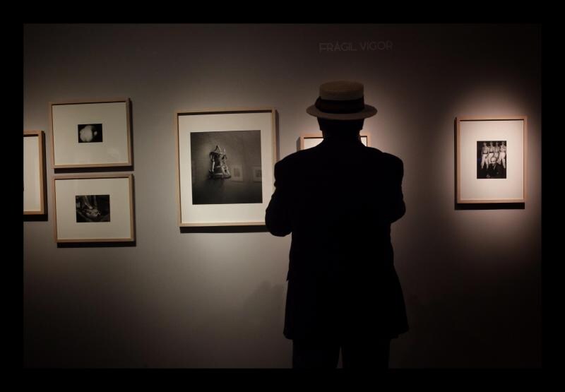 Fotos: Bizkaia celebra el Día Internacional de los Museos