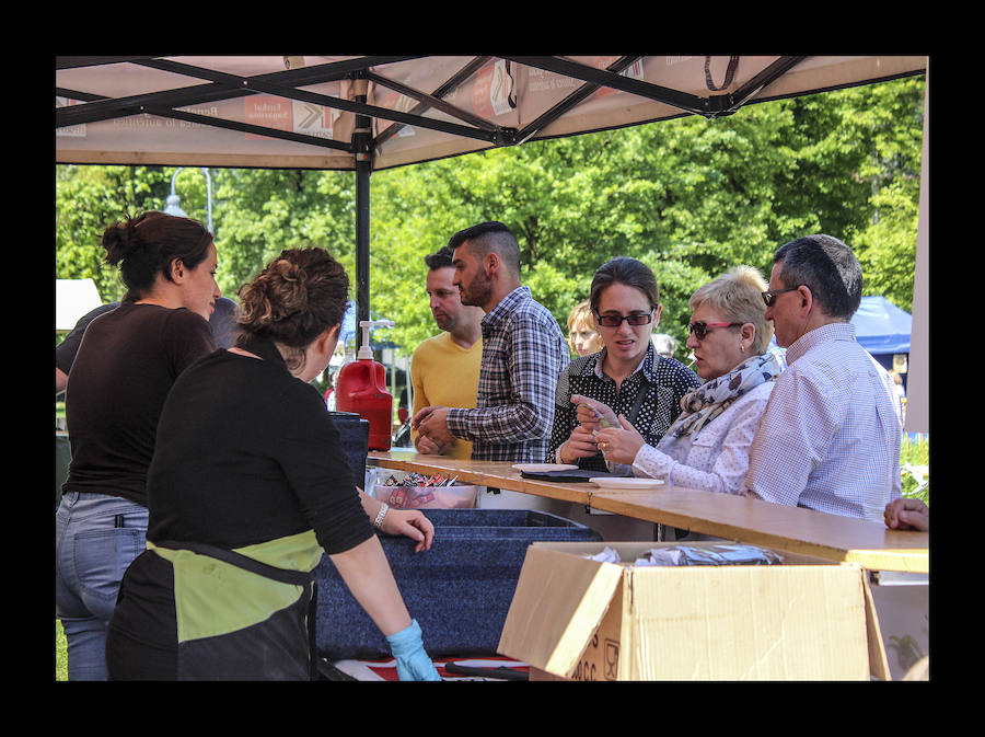 Fotos: Amurrio celebra la vigésima edición del Txakoli Eguna