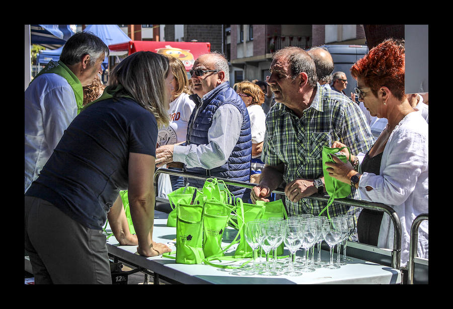 Fotos: Amurrio celebra la vigésima edición del Txakoli Eguna