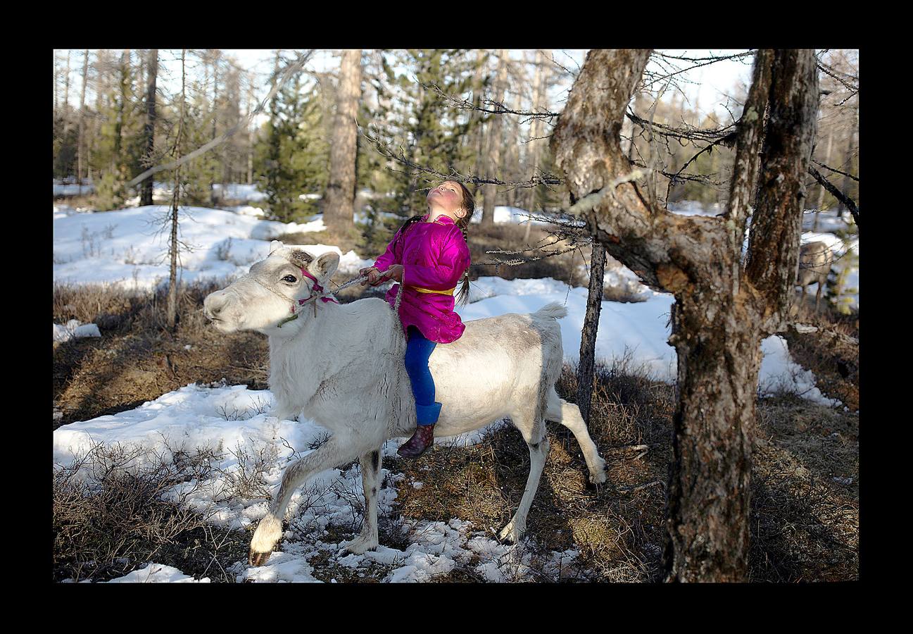 Los Dukha son un pueblo que sobrevive de la caza y pastoreando renos en las montañas Sayan, en Mongolia, una zona que se extiende a ambos lados de la frontera con Rusia. En 2012 el gobierno decidió que buena parte de sus tierras se convirtieran en parque nacional para proteger el ecosistema. La medida acabó con cuotas de caza establecidas en la era soviética, que permitían su sustento y la conservación de la vida natural, y los forzó a capturar animales como el alce y el ciervo rojo en un número que hacía difícil su subsistencia. Ahora, los Dukha reciben una compensación por la prohibición de la caza, pero muchos sienten que han perdido su identidad. 