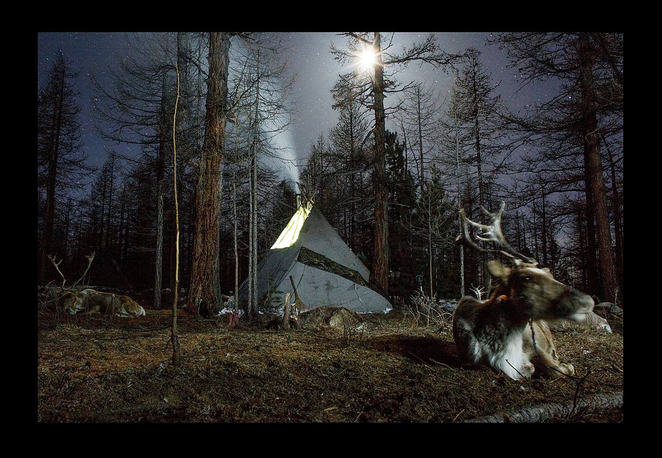 Los Dukha son un pueblo que sobrevive de la caza y pastoreando renos en las montañas Sayan, en Mongolia, una zona que se extiende a ambos lados de la frontera con Rusia. En 2012 el gobierno decidió que buena parte de sus tierras se convirtieran en parque nacional para proteger el ecosistema. La medida acabó con cuotas de caza establecidas en la era soviética, que permitían su sustento y la conservación de la vida natural, y los forzó a capturar animales como el alce y el ciervo rojo en un número que hacía difícil su subsistencia. Ahora, los Dukha reciben una compensación por la prohibición de la caza, pero muchos sienten que han perdido su identidad. 