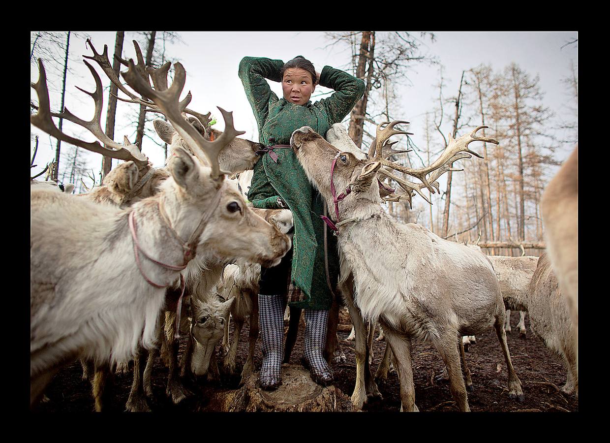 Los Dukha son un pueblo que sobrevive de la caza y pastoreando renos en las montañas Sayan, en Mongolia, una zona que se extiende a ambos lados de la frontera con Rusia. En 2012 el gobierno decidió que buena parte de sus tierras se convirtieran en parque nacional para proteger el ecosistema. La medida acabó con cuotas de caza establecidas en la era soviética, que permitían su sustento y la conservación de la vida natural, y los forzó a capturar animales como el alce y el ciervo rojo en un número que hacía difícil su subsistencia. Ahora, los Dukha reciben una compensación por la prohibición de la caza, pero muchos sienten que han perdido su identidad. 