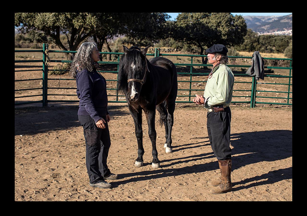 «El caballo es un espejo y puede decirme cómo me siento», asegura Fernando Noailles, de 57 años, un terapeuta emocional argentino (aparece en las fotografías con boina y bigote), que utiliza a sus equinos para ayudar a las personas que sufren estrés y ansiedad. La terapia consiste en observar las respuestas del caballo a los estados de ánimo del cliente, de tal manera que al fijarse en la reacción del animal, el paciente aprende a identificar y controlar sus propias emociones. Los participantes en estas sesiones, que se desarrollan en Guadalix de la Sierra, en las afueras de Madrid, pueden pagar hasta 120 euros por cada una de ellas.