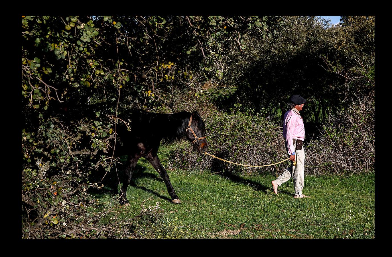 «El caballo es un espejo y puede decirme cómo me siento», asegura Fernando Noailles, de 57 años, un terapeuta emocional argentino (aparece en las fotografías con boina y bigote), que utiliza a sus equinos para ayudar a las personas que sufren estrés y ansiedad. La terapia consiste en observar las respuestas del caballo a los estados de ánimo del cliente, de tal manera que al fijarse en la reacción del animal, el paciente aprende a identificar y controlar sus propias emociones. Los participantes en estas sesiones, que se desarrollan en Guadalix de la Sierra, en las afueras de Madrid, pueden pagar hasta 120 euros por cada una de ellas.