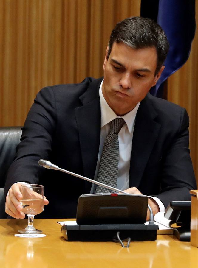 El secretario general del PSOE, Pedro Sánchez, durante la reunión del partido en el Congreso de los Diputados.