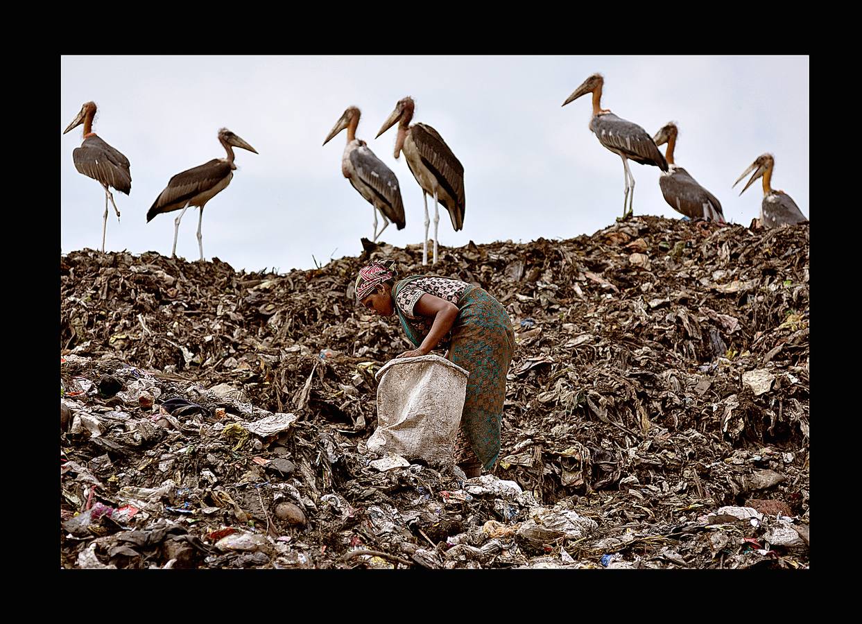 Las basuras domésticas y los restos de aparatos electrónicos son un problema creciente para la India. Los llamados «rag picker» o recolectores de basura (como los que vemos en las fotografías, rodeados de marabúes, en la ciudad de Guwahati), sacan los elementos electrónicos de la basura para reciclarlos en garajes y patios, que se convierten en auténticos almacenes de productos nocivos para la salud. El precario proceso de reciclaje manual no solamente es perjudicial para quienes lo realizan sino también para el medio ambiente debido a los gases y vapores nocivos que se liberan. 