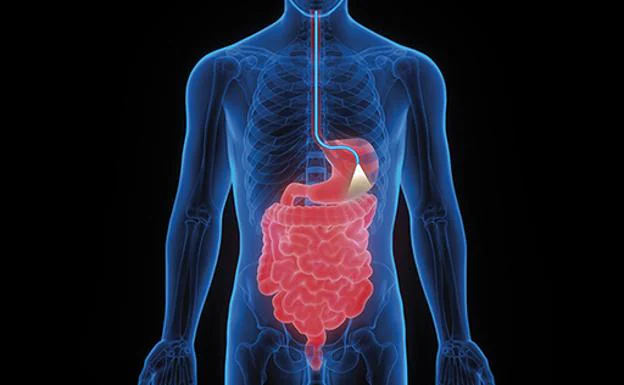 Unidad de endoscopia clínicas IMQ, soluciones de alta precisión