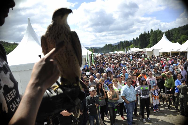 La localidad vizcaína de Dima acoge hoy la XXVI edición del día del Cazador y Pescador. Cientos de personas han acudido a la cita que aúna las reivindicaciones del colectivo con distintas actividades de caráter lúdico