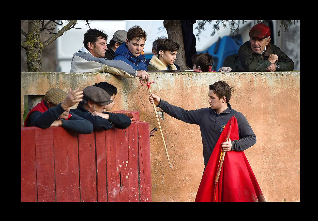 Parte de la vida en las pequeñas ciudades de la Camarga, en Francia, gira en torno a los toros y cada pueblo tiene su propio festival taurino en verano, con corridas y muchos eventos en las calles. En Le Cailar, una localidad en el distrito de Nimes, un monumento funerario recuerda con una fotografía a «Le Sanglier,» un toro de lidia, que vivió entre 1916 y 1933. El Centro Francés de Tauromaquia sigue cultivando la pasión por la tauromaquia, y cada miércoles y sábado organiza una práctica con jóvenes aficionados en la placita de Garons, cerca de Nimes. Las fotografías han sido tomadas en esta localidad y en Franquevaux.