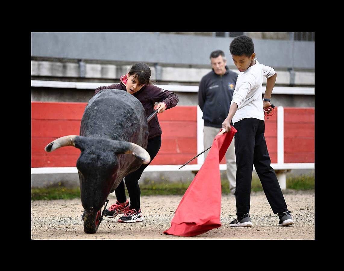 Parte de la vida en las pequeñas ciudades de la Camarga, en Francia, gira en torno a los toros y cada pueblo tiene su propio festival taurino en verano, con corridas y muchos eventos en las calles. En Le Cailar, una localidad en el distrito de Nimes, un monumento funerario recuerda con una fotografía a «Le Sanglier,» un toro de lidia, que vivió entre 1916 y 1933. El Centro Francés de Tauromaquia sigue cultivando la pasión por la tauromaquia, y cada miércoles y sábado organiza una práctica con jóvenes aficionados en la placita de Garons, cerca de Nimes. Las fotografías han sido tomadas en esta localidad y en Franquevaux.